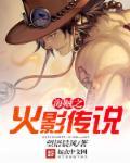 海贼之火影系统类