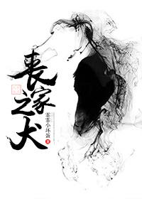 惶惶如丧家之犬