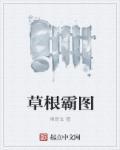 草根王简介 简介