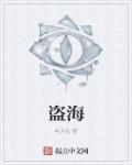盗海传
