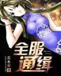 全服通缉破解版2023
