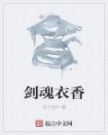 剑魂残香要什么属性