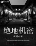 电视剧绝地保密