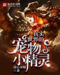 宠物小精灵真实版