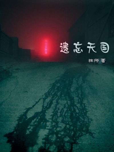遗忘国度 游戏