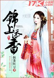 锦上添花 锦什么意思