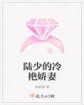 陆少的暖婚娇妻