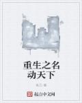 名动天下写什么