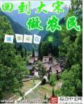 回到大宋当宰相