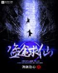 盗天仙途奇书网