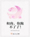 和尚你别跑免费阅读
