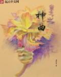重生神曲钢琴