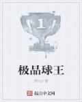 神级球王笔趣阁