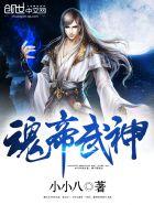 魂帝武神笔书网