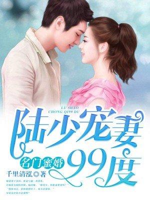 陆少宠妻忙