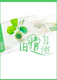 旧情自燃 百度