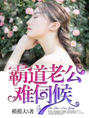 霸道老公难伺候还有这么名字