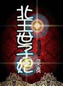镇北王世子妃