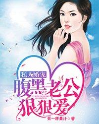 宠婚腹黑老公诱妻成瘾