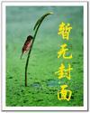 全能戒指顶点