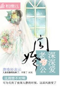 闪婚老公是豪门电视剧