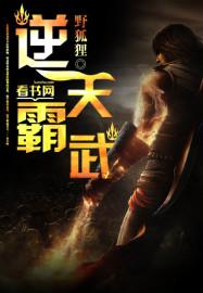 逆天武道