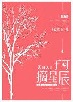 手可摘星辰中星辰的意思