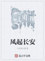 风起长安GL