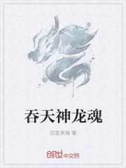 吞天神皇怎么样