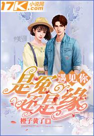 遇见你是缘也是劫歌曲