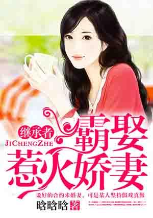 继承者甜宠妻