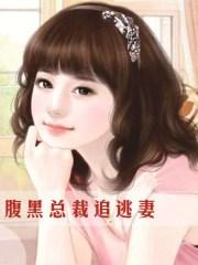 腹黑总裁追逃妻免费