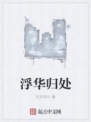 浮华落尽讲的什么