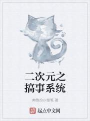系统二次元