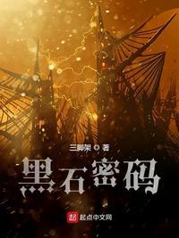 黑石密码类似的书