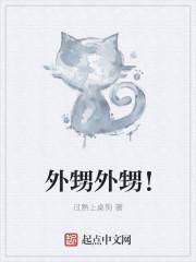 外甥女家的孩子叫什么