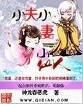 小夫少妻最新