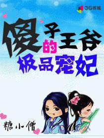 傻子王爷聪慧妃阅读