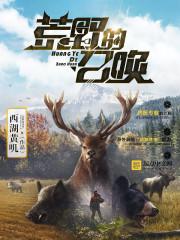 荒野的召唤技能点数怎么获得