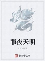 夜白天明剑网三