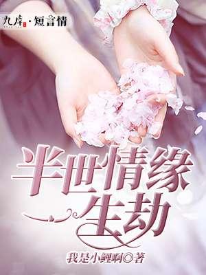 半世情缘半世劫