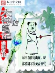 大神笔记本怎么样