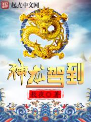 神龙驾到京东凡尘