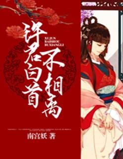 白首不相离番外三