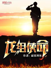 使命的使可以组什么