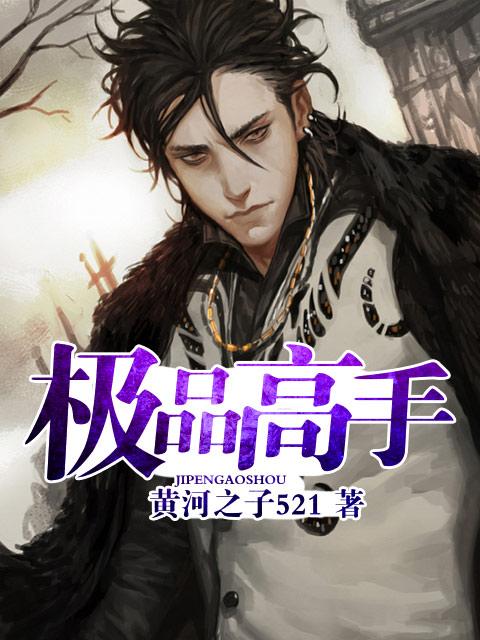 极品高手闯都市全文免费阅读