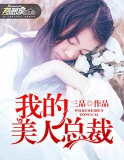 我的美人总裁老婆叶帆苏轻雪