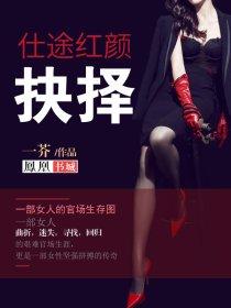 仕途红颜抉择后续会突破圈层吗