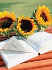 剑气凛然是四字成语吗