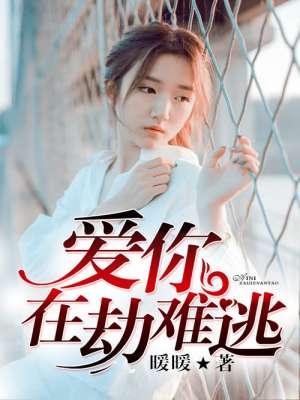 爱你在劫难逃林小兰1-40集